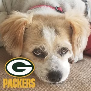 Meet your Posher, Madeline